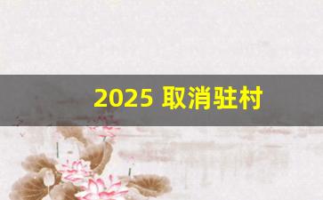 2025 取消驻村